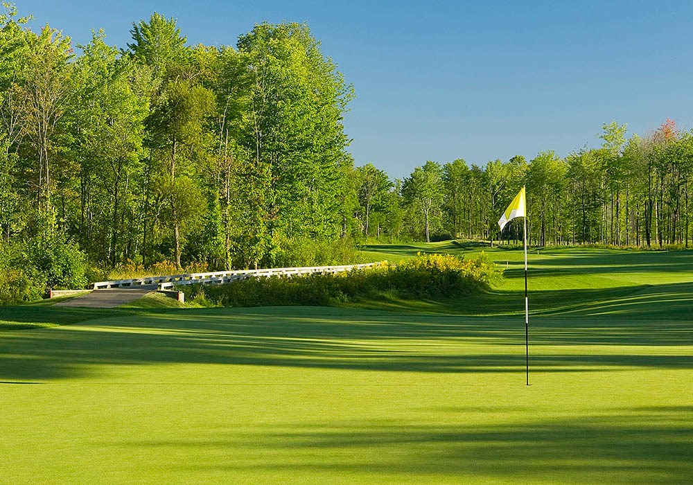Foursome at Signature of Solon Country Club
